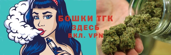 тгк Абинск