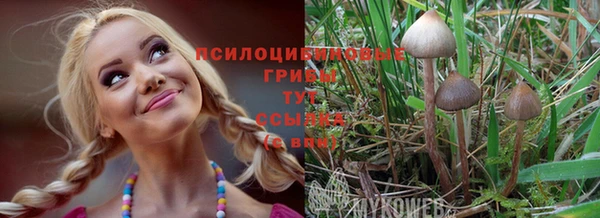 СК Абдулино